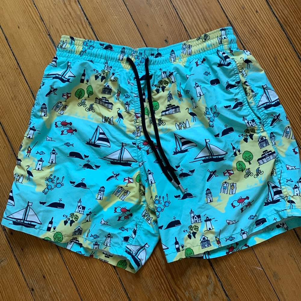 Vilebrequin Moorea Martha’s Vineyard print swim shorts EUC